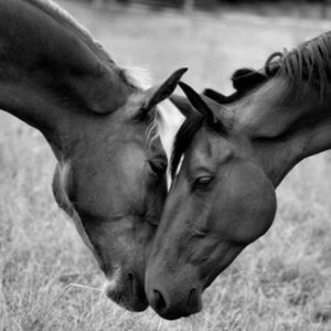 Meet your Posher, Adriana